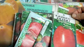 Сорт помідорів, розсаду яких найлегше продати.