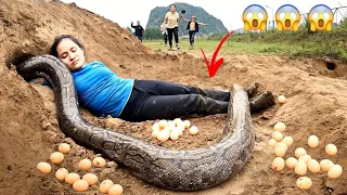 IMPOSSIBLE! Giant SNAKE Lay Eggs Hunters Saving Girl | MIKE FISHING