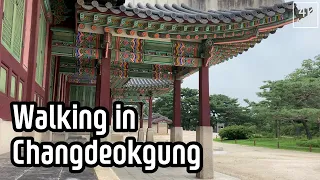 [4K] Walking in Changdeokgung Palace Seoul Ambience White noise | 조선 창덕궁 걷기 백색소음 ASMR