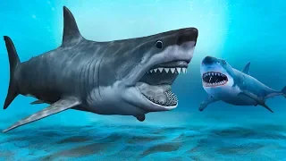 Uno Squalo Più Spaventoso Del Megalodonte? Forse Esiste Davvero