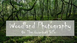 Quantock woodland photoshoot