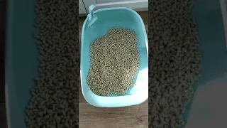 Системный туалет для кошек