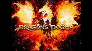 Dragon's Dogma, in-Game