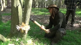 Prehistoric Survival: Using a Flint Axe to fell a tree