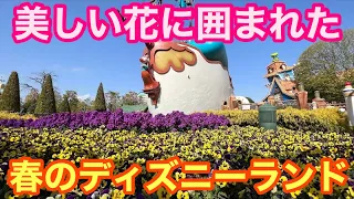 春のディズニーランドを1周したら素敵すぎた