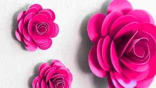 Simple and Elegant Rose Paper Flower Wall Decor Ideas tutorial