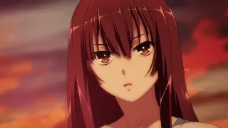 Ikki Tousen AMV Chuubou Sonken "Surviving The Game"