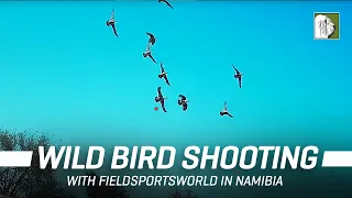 Wild Bird Shooting in Namibia, Africa | EP. 07 | 4K