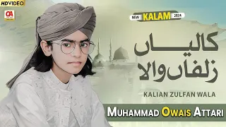 Muhammad Owais Attari 2024 - Kaliyan Zulfan Wala - 25 Year Old Kalam