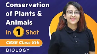 Conservation of Plants and Animals in One Shot | Biology - Class 8th | Umang | Physics Wallah