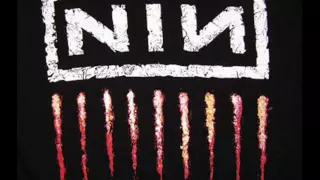 Nine Inch Nails I want to fuck you like an animal Lyrics