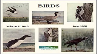 Birds, Vol. III, No 6, June 1898 by VARIOUS read by Various | Full Audio Book