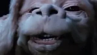 Falkor likes children