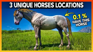 Discover 3 Unique Andalusian Horses and Where to Find Them - RDR2 Rare & Special Horse Guide