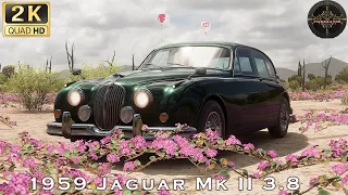 1959 Jaguar Mk II 3.8 | Forza Horizon 5 | Logitech G29