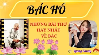 Bài thơ hay nhất về Bác Hồ | Những bài thơ hướng về Bác Hồ kính yêu vị cha già của dân tộc Việt Nam