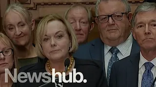 Judith Collins is the new leader of the National Party | Newshub