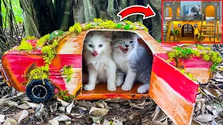 Kittens After Rescued In An Old Abandoned Car - Build Awesome Craft Miniature Houses From Cardboard