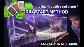 Growing Carpet Seeds for Beginners -An Easy DRY START METHOD for Aquascaping Pt. 01