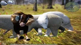 🐻‍❄️ Bear Simulator 2 VS Legendary Boss, Walrus, Seal, Bison, Fox, Bighorn Sheep