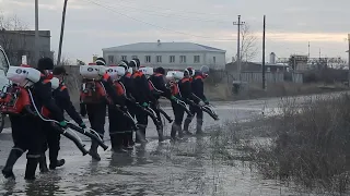 Астанчан атаковали комары: с чем связано нашествие кровососущих?