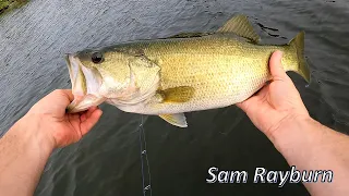 Fishing the grass for bass!