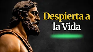 🧠"El Arte de Enfrentar los Desafíos de la Vida con Serenidad | Estoicismo"