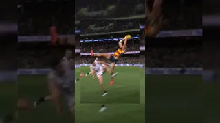 Darcy Fogarty flys high in round 20!!