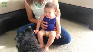 Dogs Meeting Babies for the First Time Compilation