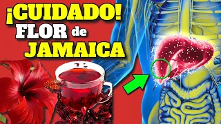 EFFECTS on YOUR BODY of DRINKING HIBISCUS TEA EVERY DAY | BENEFITS of FLOWER OF JAMAICA