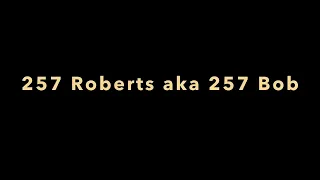 257 roberts / 257 bob, the forgotten medium game cartridge