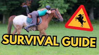 Bucking, Rearing, & Bolting Horse: What To Do