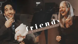 Friends | Animal (Humor)