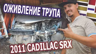 Оживление трупа. 2011 Cadillac SRX