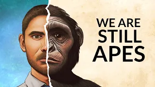 Do We Still Have Ape Brains?