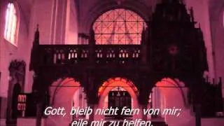 Dom Münster: Psalm 25 (Antwortpsalm - GL 733/1, Halleluja - GL 173/1)