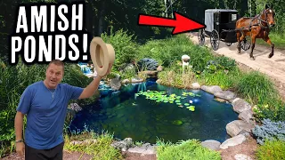 AMAZING AMISH Country Pond