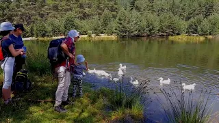 Това е България - 65 Semkovo hut and Lake Suhoto