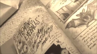 Limited Edition Gravity Falls Journal 3?