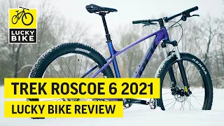Trek Roscoe 6 2021 | Ideales Mountainbike für Trail-Einsteiger und erfahrenere Offroad-Junkies