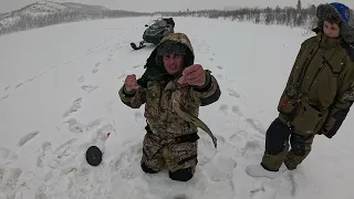 ЛОВИМ КУМЖУ НА ОЗЕРЕ / FISHING TROUT ON THE LAKE