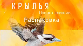 Распаковка дополнения к настольной игре Крылья. Птицы Океании. | Wingspan. Oceania expansion.