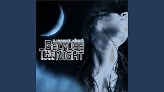 Because the Night (Porno Radio Mix)