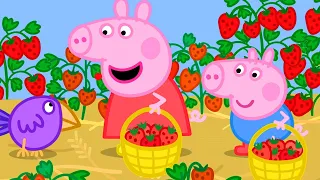 Peppa Wutz | Gartenarbeit mit Peppa und George! | Peppa Pig Wutz | Cartoons für Kinder