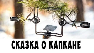 Сказка о гибридном капкане КП-120-С | Russian marten traps