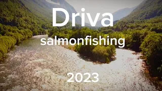 Salmonfishing in Driva 2023/ Laksefske i Driva