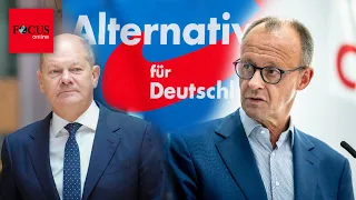 AfD mit neuem Umfragerekord - Klatsche für Merz und Scholz