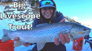 Livescope Fishing For Big Trout + Catch N' Cook! - Utah Ice Fishing 2022