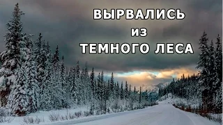 Вырвались из темного леса! Escaped from the dark forest!