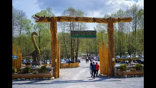 Parcul Dinosaur World Transylvania | Activități copii și adulți